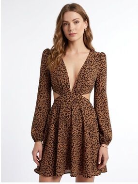 Leopard Print Cutout Long Sleeve Dress
